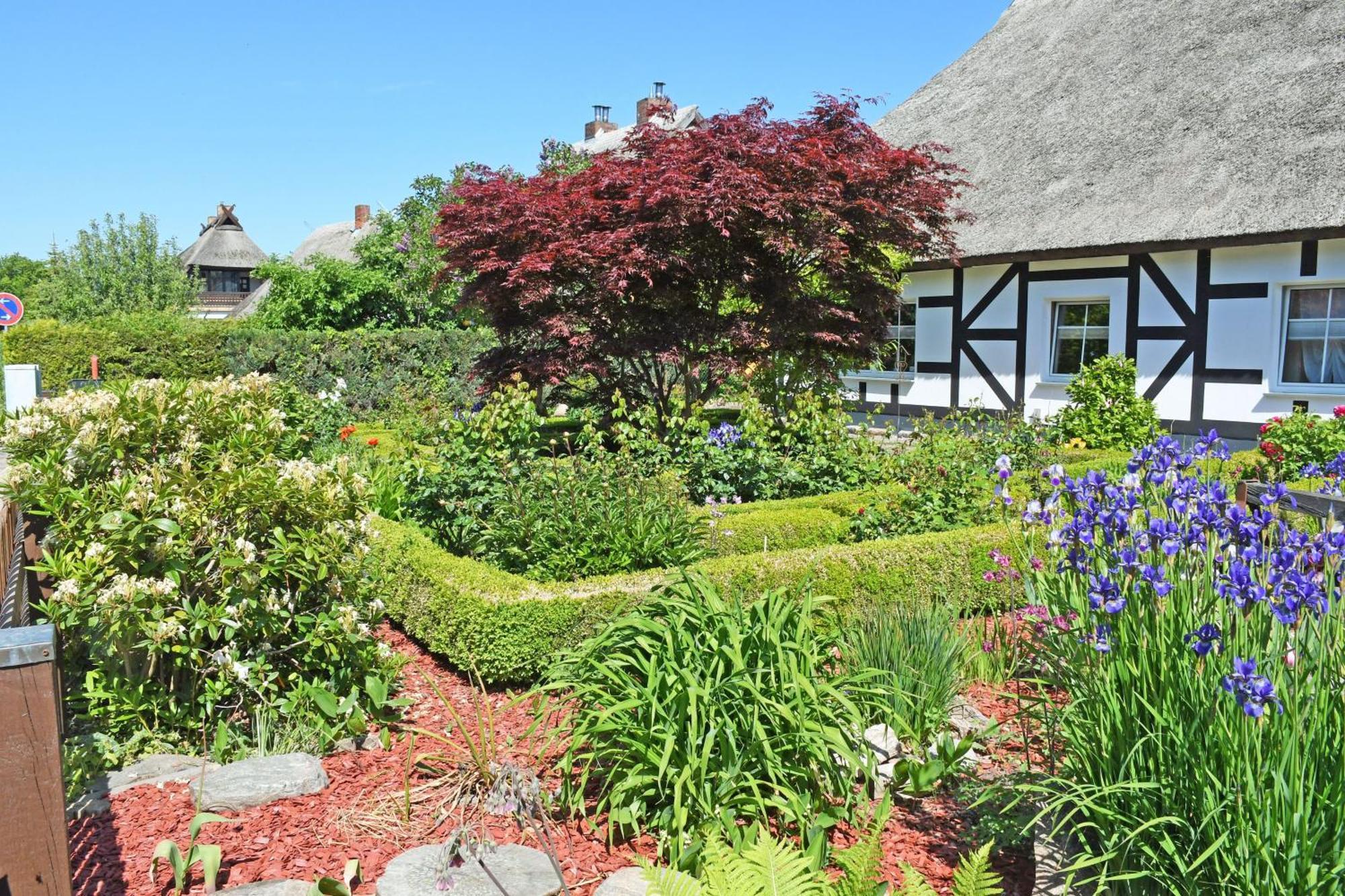 Ferienhaus Am Sund Altefähr Zewnętrze zdjęcie